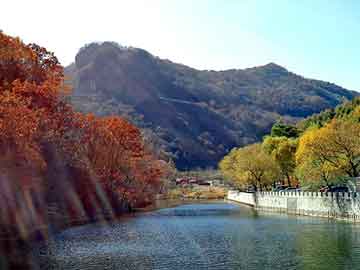 澳门二四六天天彩图库，浴室女尸